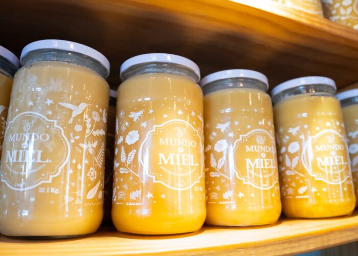 Mundo Miel